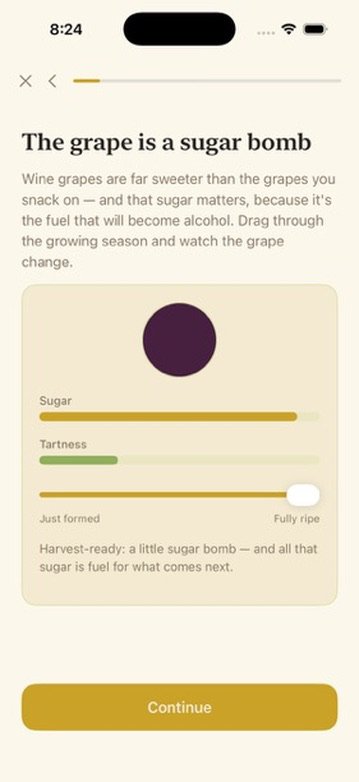 Lesson 'The grape is a sugar bomb' with a slider that ripens a grape and shows sugar and tartness bars