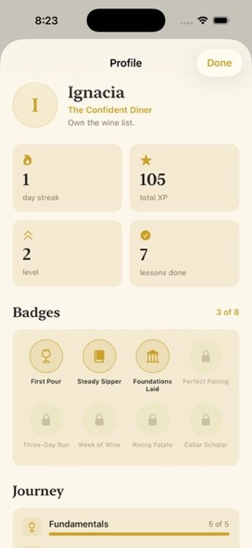 Learner profile with day streak, total XP, level, lessons done and earned badges
